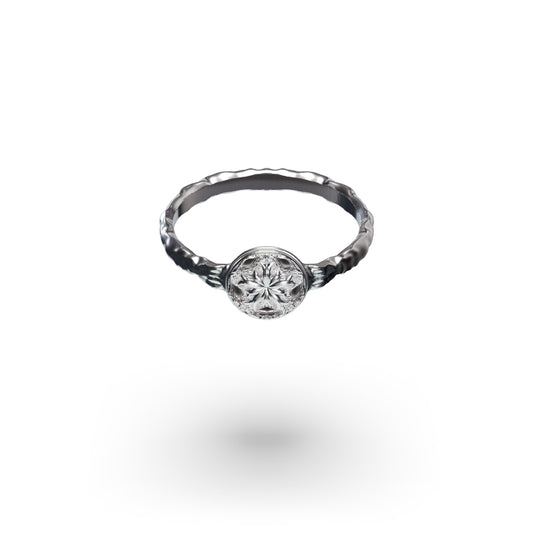 Seal Ring