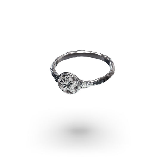 Seal Ring