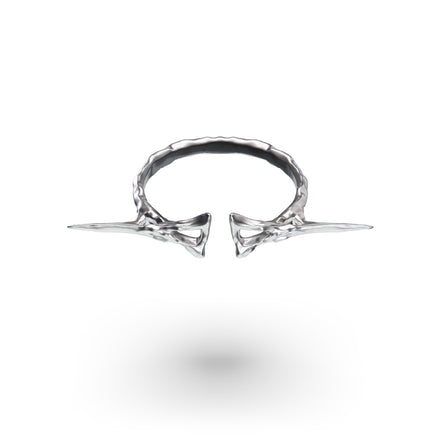 PP Ring