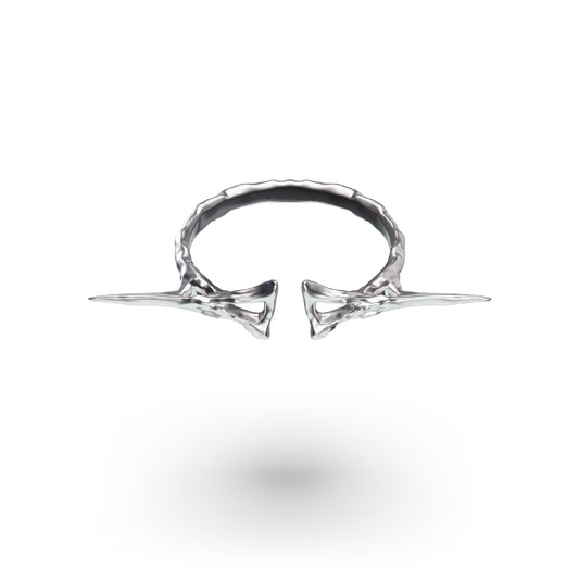 PP Ring