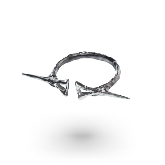 PP Ring